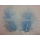 Plumas Gallo Grandes x50
