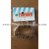 Rep. Cortante Flogus murcielago gordo