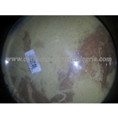 Rep. Mantecol (turron tipo arabe) ARGEN x3kg**