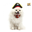 Hallo. disfraz mascota pirata