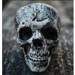 Hallo. Calavera decorativa articulada 20cm